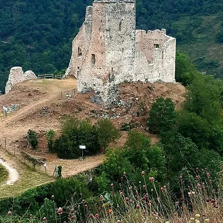 펜션 Au Pied Du Chateau De Miglos